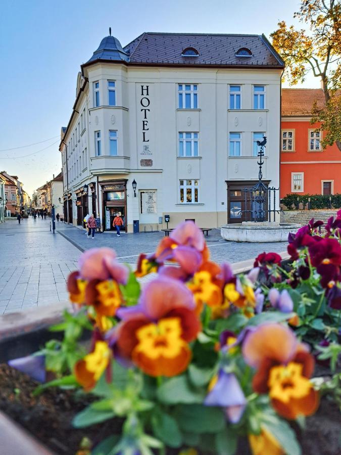 Hotel Domus Collis Győr Exterior foto